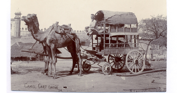 CameL Cart