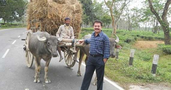 An old farmer with his buffalo cart full of harvested paddy.