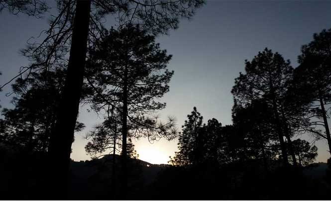 Todays sunset .... while travelling through a beautiful Reserve Forest of Pine